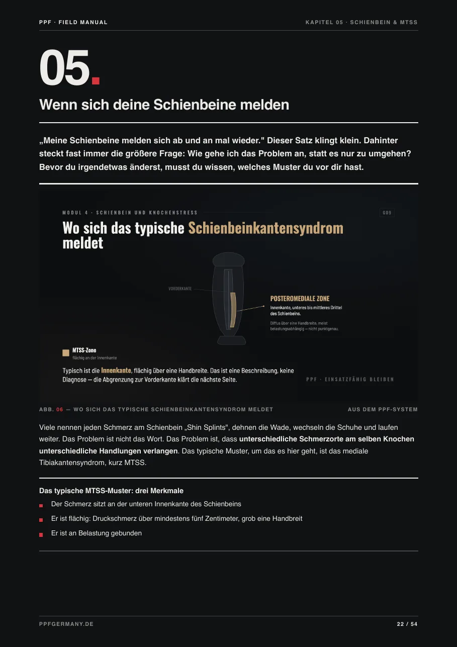 MTSS-Seite der Digitalversion