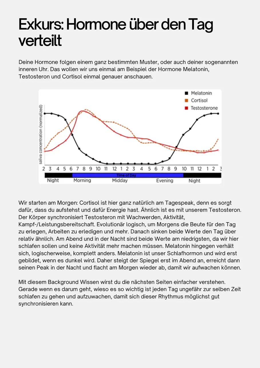 Seite aus dem Guide: Hormonverlauf über den Tag im Zusammenspiel mit Schlaf