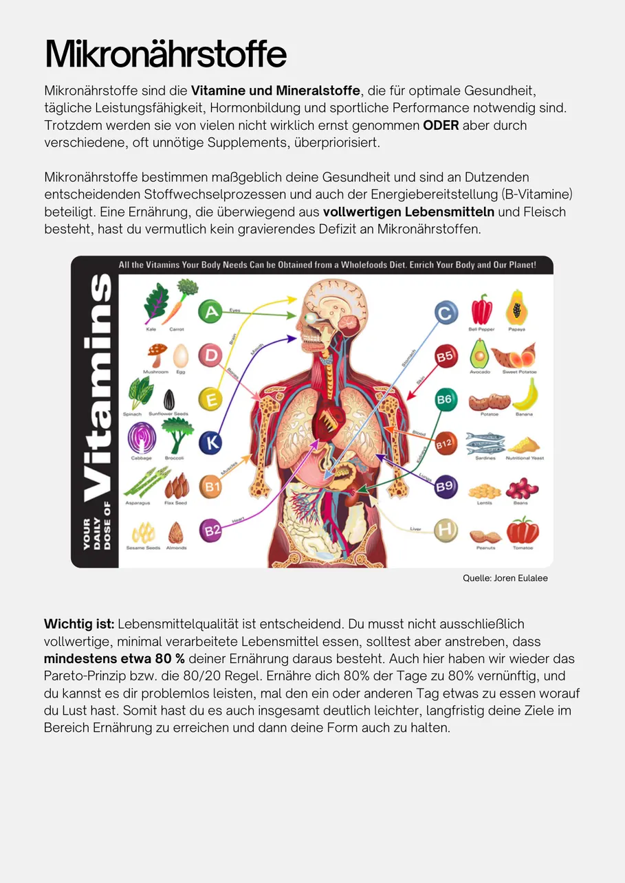 Seite aus dem Guide: Infografik zu Mikronährstoffen und ihrer Rolle in der Regeneration