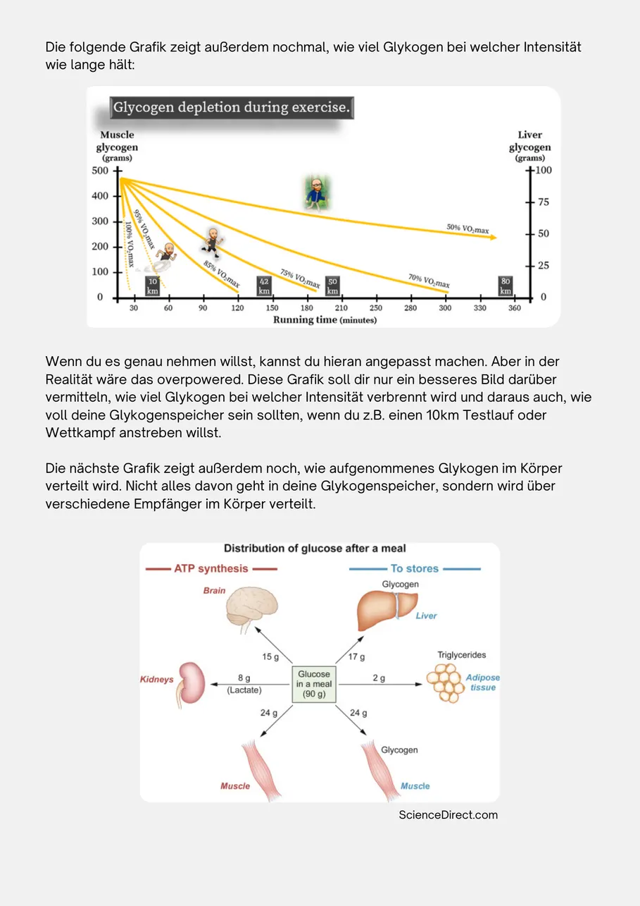 Digitale Version: dieselbe Seite aus dem Guide, dargestellt auf einem Display